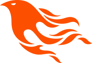 Identify Top Phoenix Developers